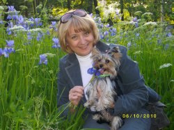 �������, �����-���������, 66 ���