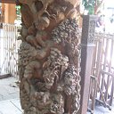 ���� ������, ������, 63 ���� - ��������� 7 ������� 2012 � ������ ��������