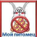  ,  , 46  -  29  2011   Ȼ