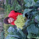 ���� �������, ������, 77 ��� - ��������� 9 ������� 2012 � ������ �������