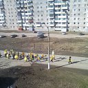  , , 43  -  2  2010    :))    :)
