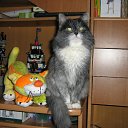 ���� ���������, ����, 53 ���� - ��������� 2 �������� 2011 � ������ ������