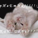 ���� ���, ���������-�����, 57 ��� - ��������� 6 ������ 2010 � ������ ���� ����������