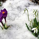 ���� ��������, �����, 33 ���� - ��������� 10 ������� 2010 � ������ �������