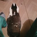 ���� ���� ��, �������, 49 ��� - ��������� 15 ������ 2011 � ������ ���� ���.�