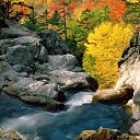 Glen Ellis Falls, White Mount   