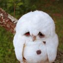 ���� ?, ����� - ��������� 31 ���� 2012