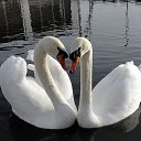 ���� �����, ������, 44 ���� - ��������� 26 ������� 2012 � ������ ���� ����������