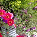 ��� �������,� �� ������� ������� �� ������� ���� ����������