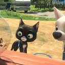 ���� "@����", �����-���������, 25 ��� - ��������� 2 ���� 2010 � ������ �����һ