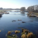 ���� �������, �������, 38 ��� - ��������� 11 ��� 2010 � ������ ���� ����� ����� �������