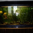 ���� Sergo, ������, 52 ���� - ��������� 29 ��� 2012 � ������ ���� ����������