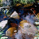 ���� ���������, ���������� - ��������� 26 ������� 2013 � ������ ���� ����������