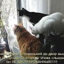 ���� �����, ��������, 40 ��� - ��������� 17 ������ 2013 � ������ �����