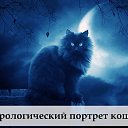  ******,  -  28  2013    