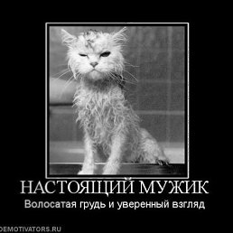 Vlad, ������, 54 ����