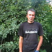 , 53 , 