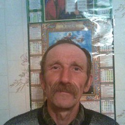 ��������, �����, 66 ���