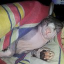 ��� ����� )))) �� ������� �PetLove�