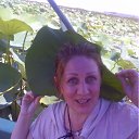 ���� �����, ������� - ��������� 26 ������ 2012 � ������ ���� ����������