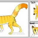 ��� �� ���� �����) �� ������� ���� �������� � �� �� - �����