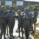 �������� ������ � ������ �� ������� ���� ����������