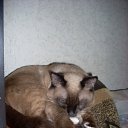 ���� �������, ����������, 47 ��� - ��������� 20 ����� 2010 � ������ �������