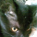 ���� Natalya, ��������, 56 ��� - ��������� 11 ������� 2011 � ������ ����� ����, ���� � &amp;�