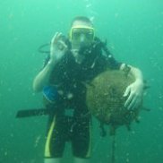 Yardar, 49 ���, ���������