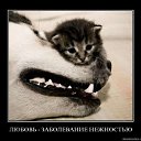 ���� Red, ������� - ��������� 16 ������ 2011 � ������ ���������������� :)�