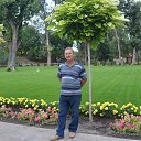 ���� ��������, ������-��-����, 61 ��� - ��������� 1 ������� 2013 � ������ ���� ����������