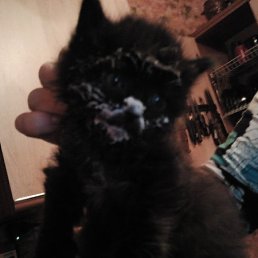 ���� ������ ������, ������, 49 ��� - ��������� 18 ��� 2012