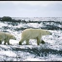 ���� �������, ������, 47 ��� - ��������� 19 �������� 2012 � ������ ��������, ������ �����!!!�