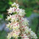 ���� ����. ��������� �� ��!, ������, 72 ���� - ��������� 30 ������ 2011 � ������ ����� � �����