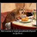 ���� ������, ������, 35 ��� - ��������� 23 ��� 2013 � ������ ���� ����������