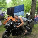  , , 61  -  3  2011     , 