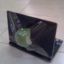 ���� Nin�, ������ - ��������� 9 ��� 2012 � ������ ���� ����������