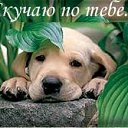 ���� �, ������, 47 ��� - ��������� 29 ������� 2012