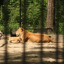 ���� Sofia, ������, 30 ��� - ��������� 18 ������� 2009 � ������ ��������