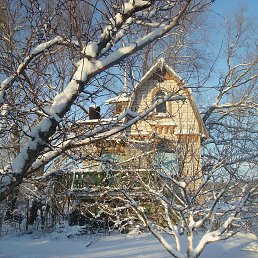 ���� �������� ��������, ������ - ��������� 3 ����� 2013