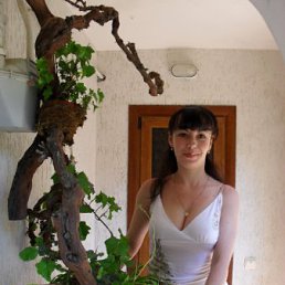 ���� ������, ������������, 38 ��� - ��������� 2 ������� 2011