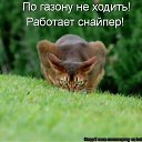 ���� Irisk@, ������ - ��������� 18 ������� 2011 � ������ �������