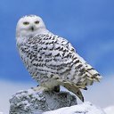 ���� ��������, ������ - ��������� 12 ������ 2013 � ������ ���� ����������