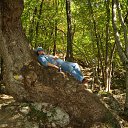 ���� �����, ��������, 61 ��� - ��������� 14 �������� 2012 � ������ ���� ����������