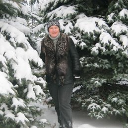 �������, �������, 51 ���