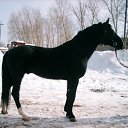 ���� ������[������ �����], �������, 26 ��� - ��������� 30 ���� 2010 � ������ �����