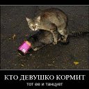 ���� �������, ������ - ��������� 19 ������� 2012 � ������ ���� ����������