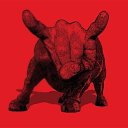 ���� ˸��, �����������, 44 ���� - ��������� 15 ���� 2013 � ������ ���� ����������