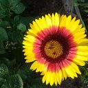 ���� ������, ������, 59 ��� - ��������� 21 ������� 2012 � ������ ���� ����