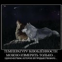 ���� �������, ������, 48 ��� - ��������� 19 ������ 2012 � ������ ���� ����������